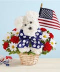 Yankee Doodle Doggie™