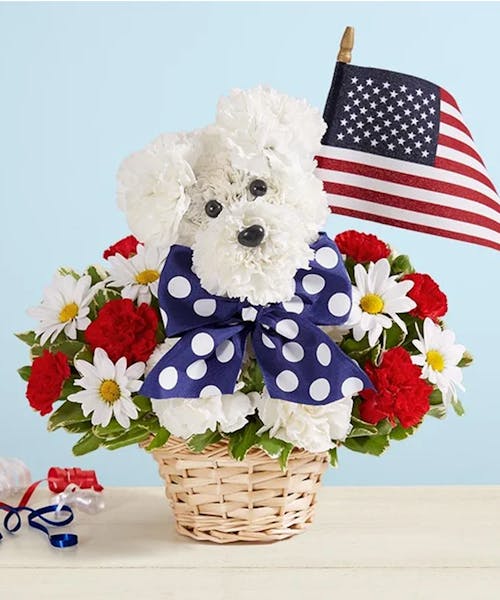 Yankee Doodle Doggie™