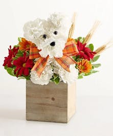 1-800 Flowers Fall Collection