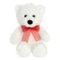 Valentine Love White Teddy Bear - 10.5