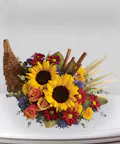 Classic Cornucopia - Standard