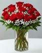 Colorado Beauty Red Rose Bouquet - 24 Roses