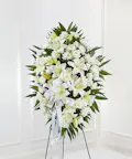 Exquisite Tribute Spray - Standard