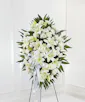 Exquisite Tribute Spray - Standard