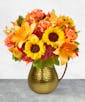 Golden Sunshine Pitcher - Premium