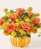 Gourdgeous Pumpkin Bouquet - Premium