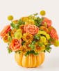 Gourdgeous Pumpkin Bouquet - Deluxe
