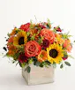 Harvest Glow Bouquet - Premium