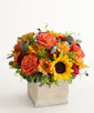 Harvest Glow Bouquet - Deluxe