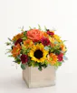 Harvest Glow Bouquet - Standard