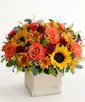 Harvest Glow Bouquet - Exquisite