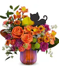 Midnight Meow Bouquet - Standard
