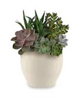 Modern Stone Succulent Garden