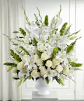 Morning Stars Arrangement - Premium