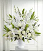 Morning Stars Arrangement - Deluxe