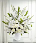 Morning Stars Arrangement - Standard