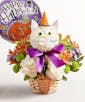 Perfect Potions Fabulous Feline with Halloween Mylar