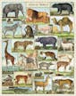 Cavallini Vintage Puzzle Animal World