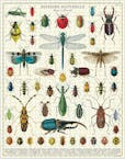 Cavallini Vintage Puzzle Bugs & Insects