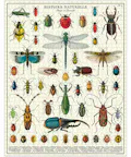 Cavallini Vintage Puzzle Bugs & Insects