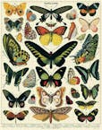 Cavallini Vintage Puzzle Butterflies