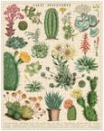 Cavallini Vintage Puzzle Cacti and Succulents