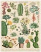 Cavallini Vintage Puzzle Cacti and Succulents