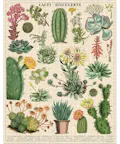 Cavallini Vintage Puzzle Cacti and Succulents