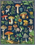 Cavallini Vintage Puzzle Foraging