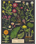 Cavallini Vintage Puzzle Herbarium