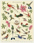 Cavallini Vintage Puzzle Hummingbirds