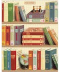 Cavallini Vintage Puzzle Library