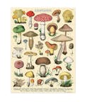 Cavallini Vintage Mini Puzzle - Mushrooms