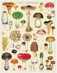 Cavallini Vintage Puzzle Mushrooms