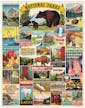 Cavallini Vintage Puzzle National Parks