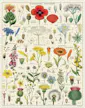 Cavallini Vintage Puzzle Wildflowers