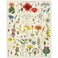 Cavallini Vintage Puzzle Wildflowers