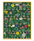 Cavallini Vintage Mini Puzzle - Wildfflowers