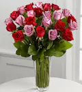 24 Roses