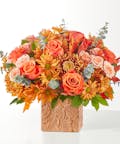 Scenic Route Bouquet - Premium