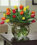 Tulip Mania