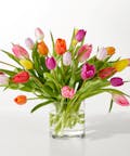 Spring Calling Tulip Bouquet - Premium (25 tulips)