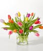 Spring Calling Tulip Bouquet - Deluxe (20 tulips)