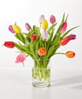 Spring Calling Tulip Bouquet - Standard (15 tulips)