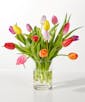 Spring Calling Tulip Bouquet - Standard (15 tulips)