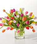 Spring Calling Tulip Bouquet - Exquisite (40 tulips)