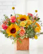 Sunflower Season Bouquet - Premium