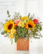 Sunflower Season Bouquet - Standard