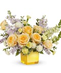 Sunshine Dreams Bouquet - Premium