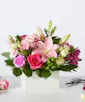 Sweetberry Box Bouquet - Premium